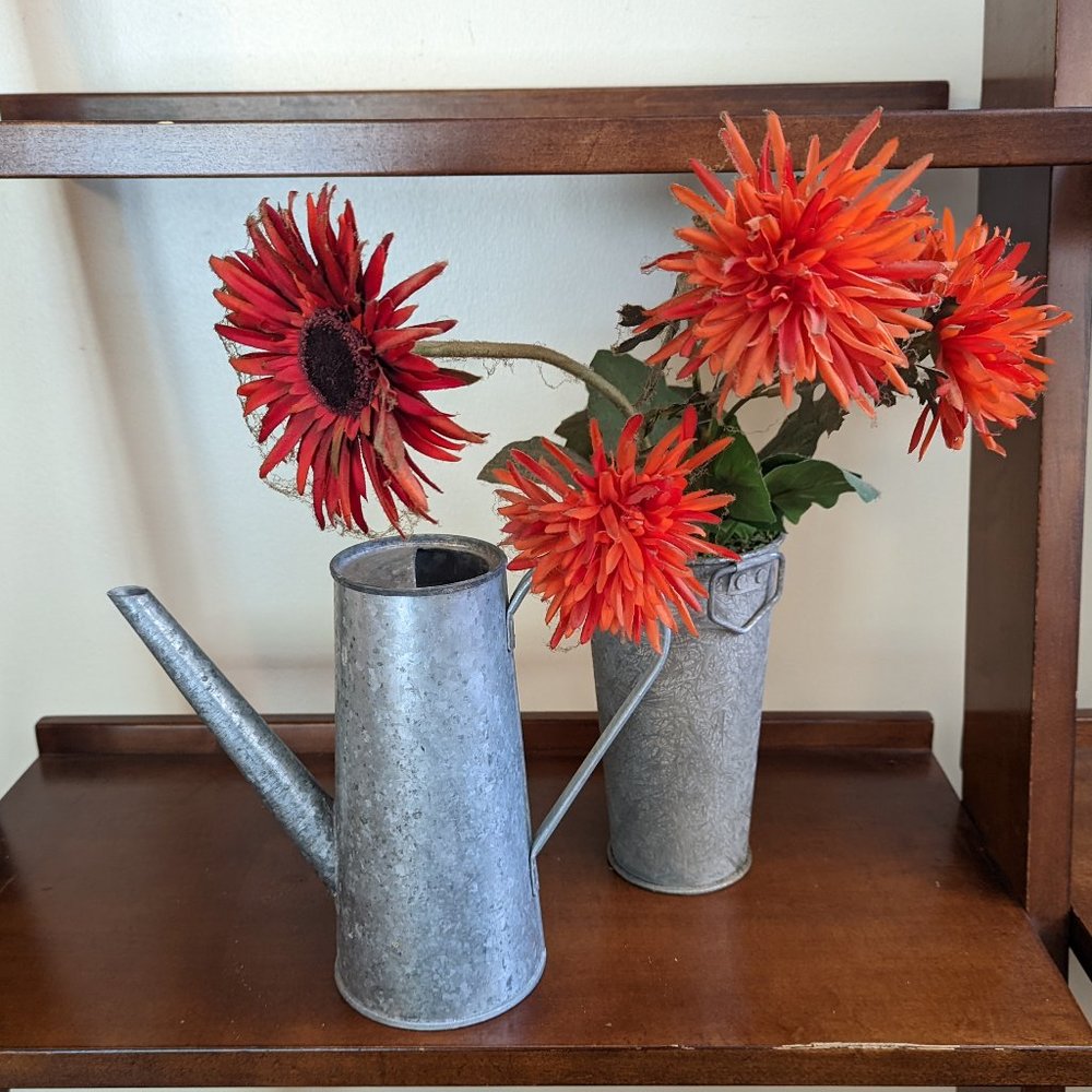 Accent Flower Pot and Watering Can